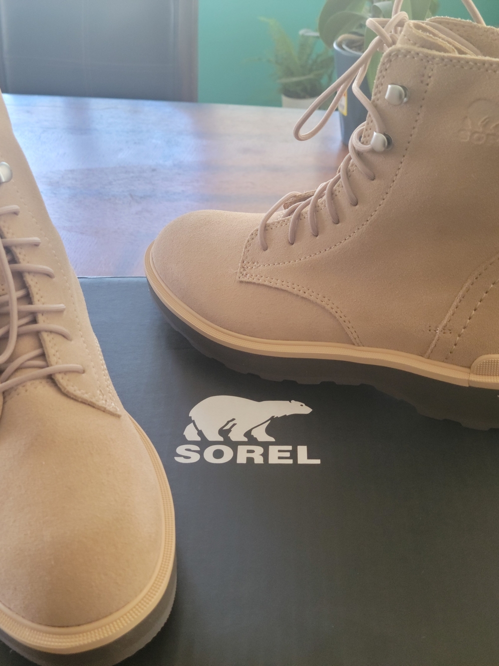 SOREL Lace-Up Suede Ankle Boots in Light Taupe